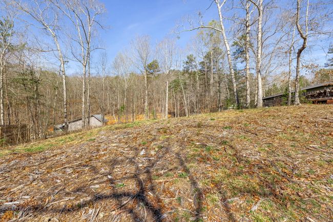 442 Shore Dr, House other with 4 bedrooms, 3 bathrooms and null parking in Dahlonega GA | Image 58