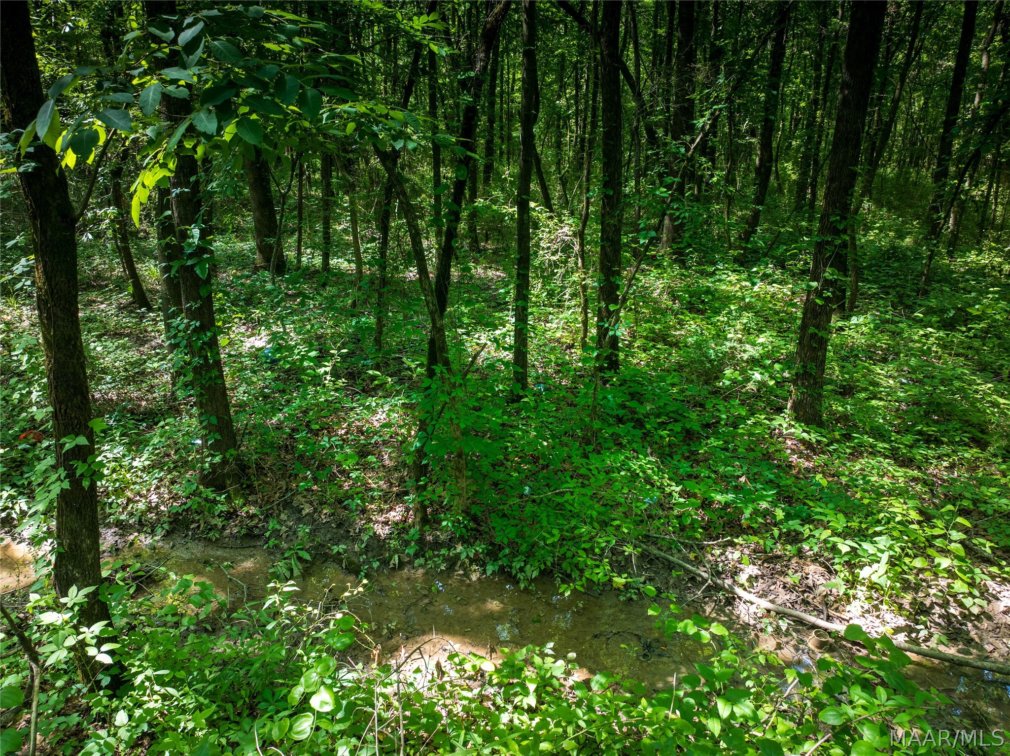 Land in Greensboro 5