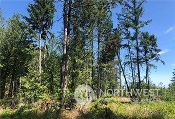 Land in Spanaway