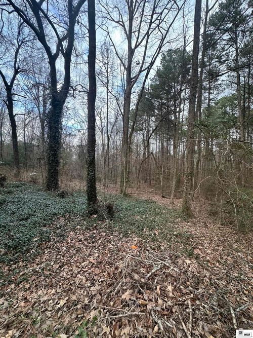 246 Whispering Pines Trl, Minden, LA, 71055-6244 | Card Image