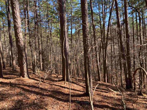 lot-89-16 Hillside Trl, Mount Ida, AR, 71957-9708 | Card Image