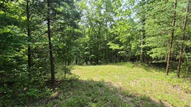 1255 Cherokee Path, Home with 0 bedrooms, 0 bathrooms and null parking in Jasper TN | Image 6