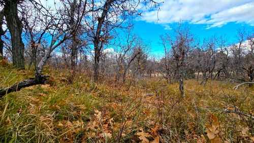 138-138 E Oak Ridge Drive Dr, Mount Pleasant, UT, 84647 | Card Image