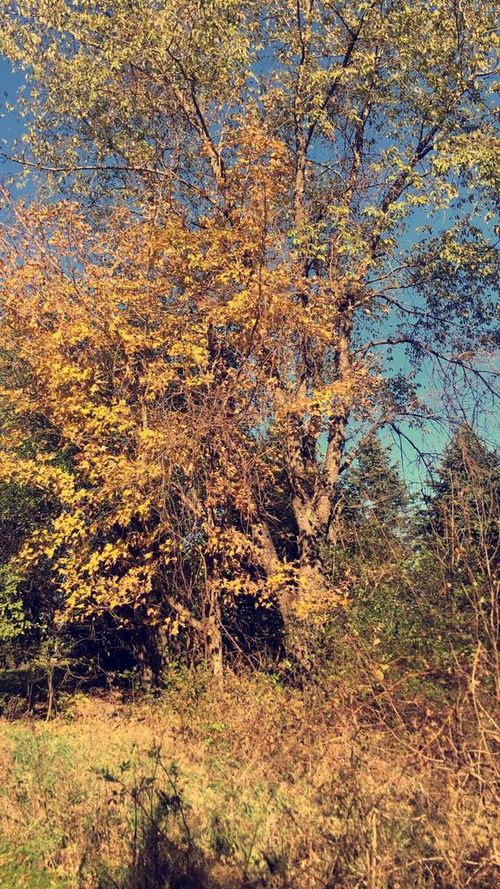 Lt0 Lakeview Rd, West Bend, WI, 53090 | Card Image
