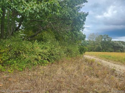 1187 Parks Vacant Land Road, Home with 0 bedrooms, 0 bathrooms and null parking in Wales Twp MI | Image 2