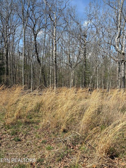 2017 Tres Cir, Crossville, TN, 38572-3567 | Card Image