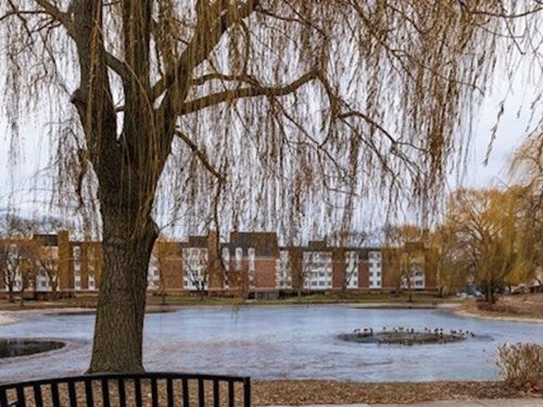 517-225 Lake Blvd, Buffalo Grove, IL, 60089-4389 | Card Image