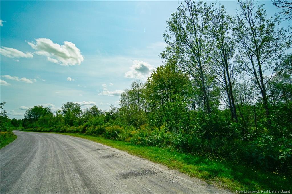 Land in Saint-Léonard 3