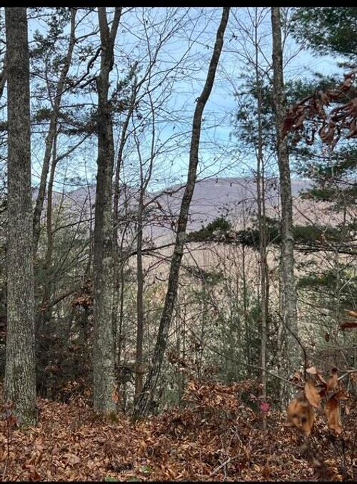 288 Frost Bottom Rd, Oliver Springs, TN, 37840-6001 | Card Image