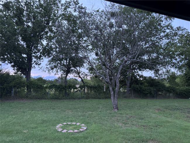 View of grassy yard | Image 23