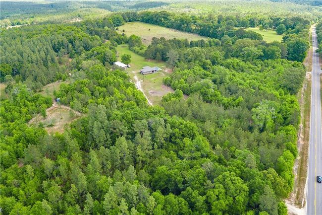 Drone / aerial view with a view of trees | Image 36