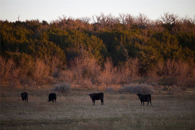 Surrounding community featuring a rural view | Image 36
