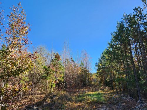 Tbd Snow Camp Rd, Snow Camp, NC, 27349 | Card Image