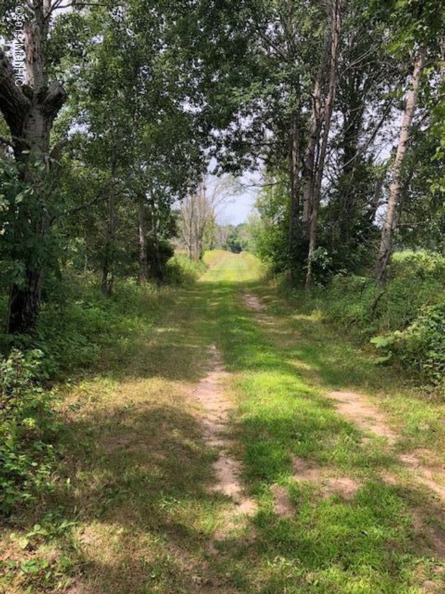 2490 145 Th Ave, House other with 2 bedrooms, 1 bathrooms and null parking in Morley MI | Image 24