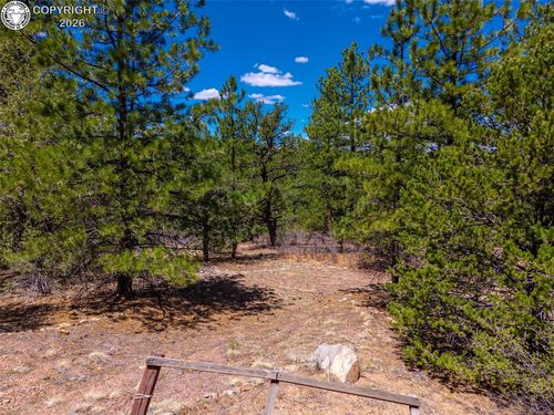 265 Alden Ln, Cotopaxi, CO, 81223 | Card Image
