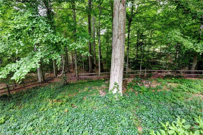 Private backyard | Image 34