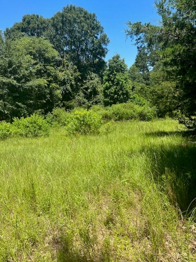 View of landscape | Image 4