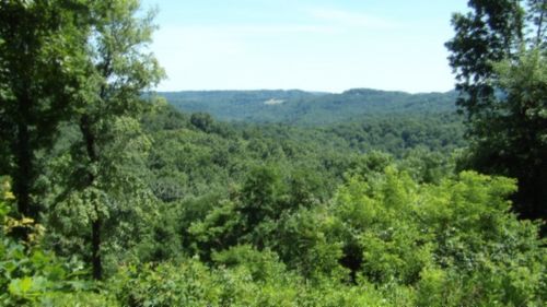 0 Rockfish Ln, Hilham, TN, 38568 | Card Image