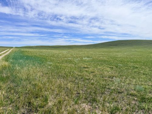 Lot 146 Willow Creek Rd, Augusta, MT, 59410-7816 | Card Image
