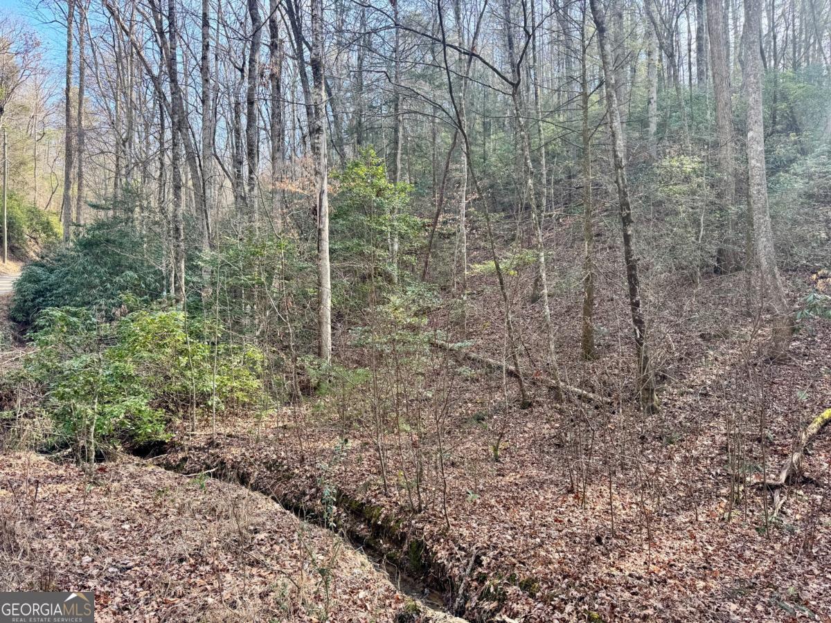 Land in Ellijay 4