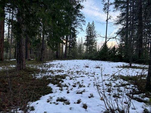 164 Vireo Ct, Avery, CA, 95224 | Card Image