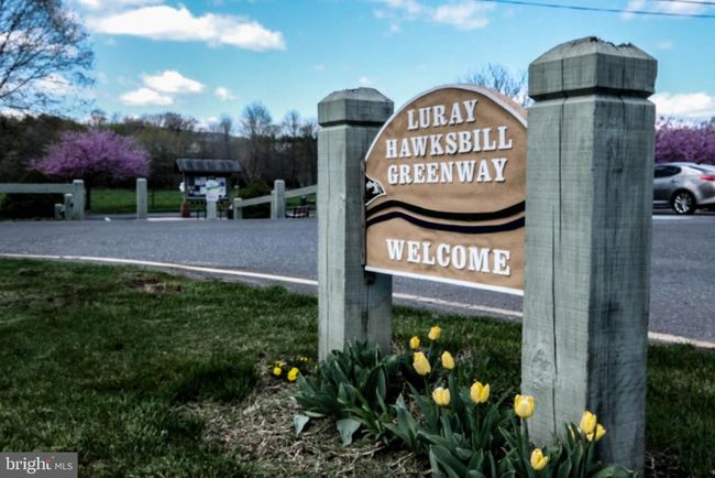 161 Reservoir Ave, House other with 5 bedrooms, 3 bathrooms and null parking in Luray VA | Image 67