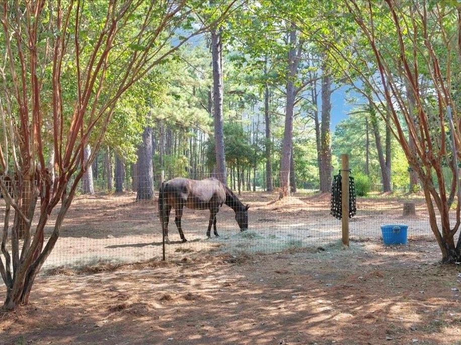 Farm in Nacogdoches