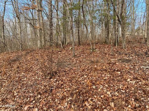 116 Overlook Cv, Crossville, TN, 38558-7074 | Card Image