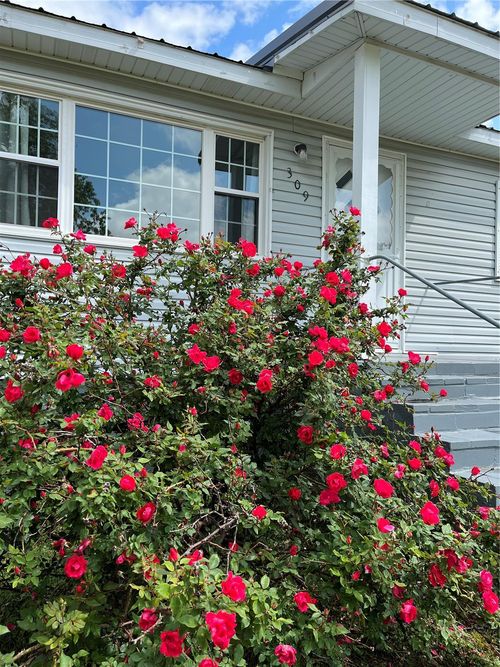 309 Central Ave, Marble Hill, MO, 63764-8252 | Card Image