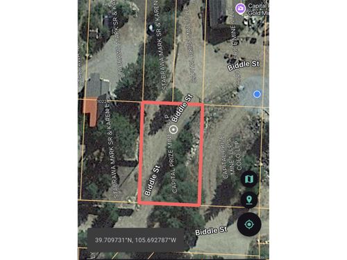 1016 Biddle St, Georgetown, CO, 80444 | Card Image