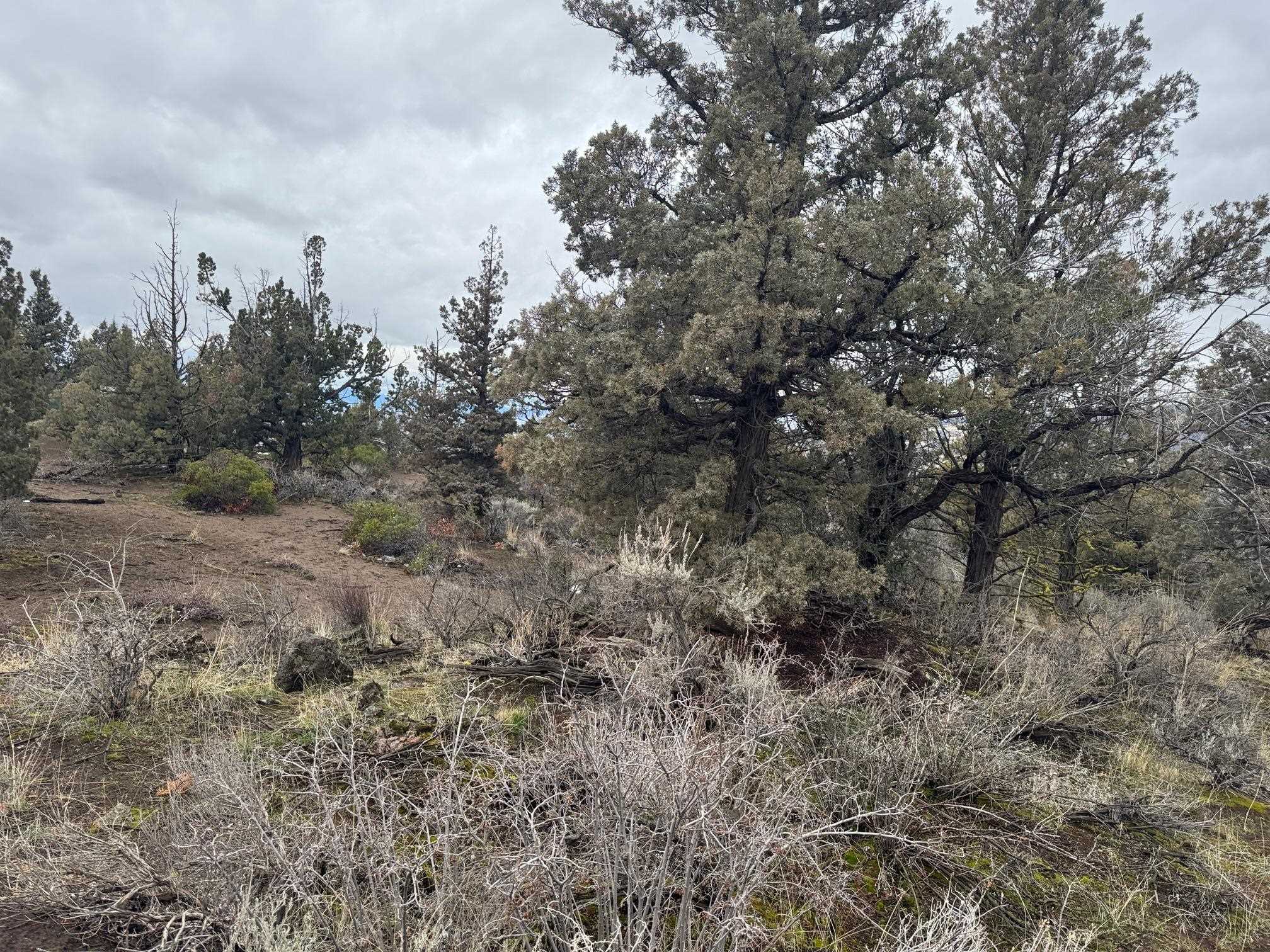 Land in Montague
