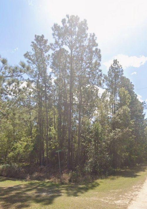00 Magnolia Ct, GEORGETOWN, FL, 32139 | Card Image