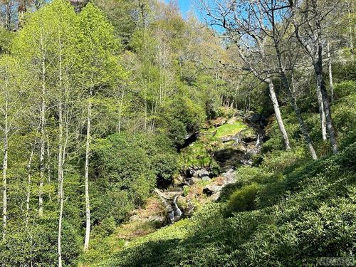1 Falling Water Dr, Highlands, NC, 28741 | Card Image