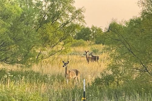 0000 Fm 3102, Paducah, TX, 79248 | Card Image