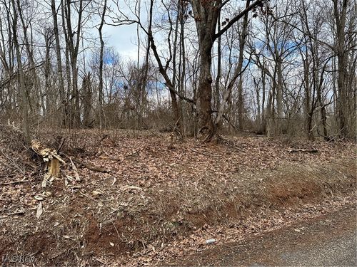 0 Fisher Ridge Rd, Tract 4, Fleming, OH, 45729 | Card Image