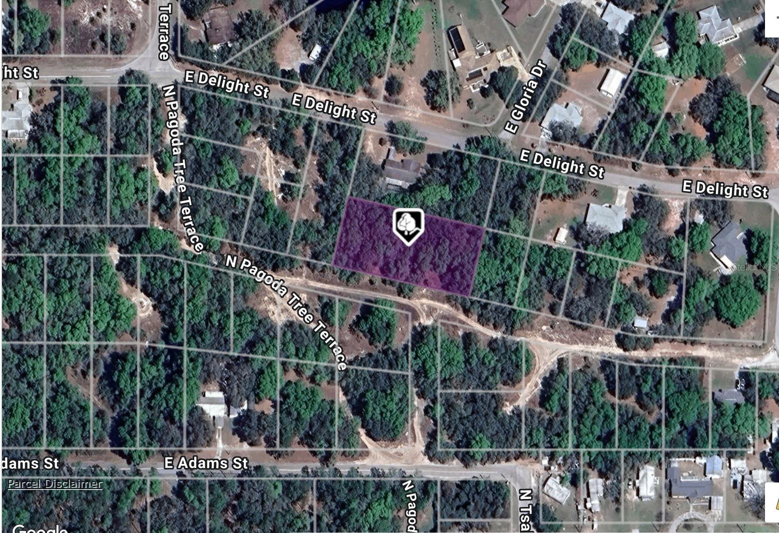Land in HERNANDO
