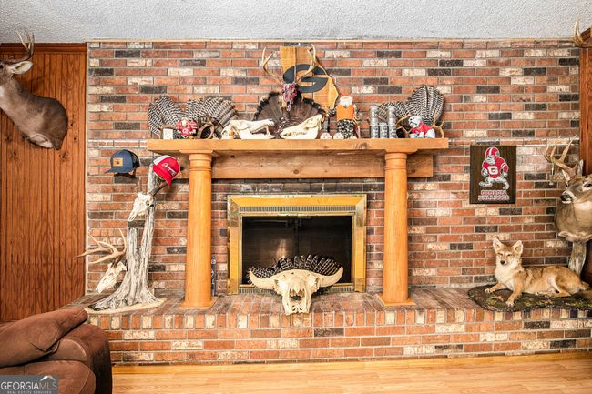 382 Stevens Grove Church Rd, House other with 3 bedrooms, 3 bathrooms and 3 parking in Lexington GA | Image 10