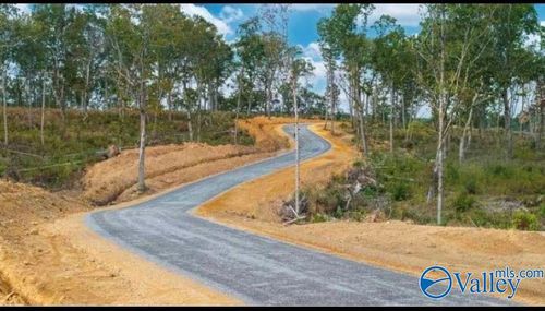 Tract 22.2 County Road 9114, Mentone, AL, 35984 | Card Image