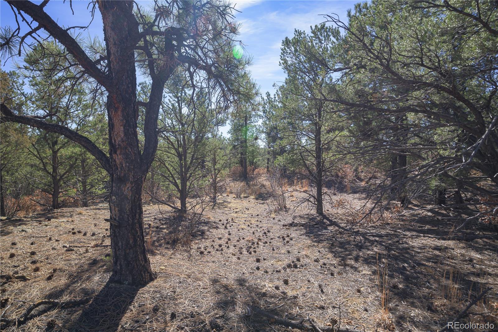 Land in Weston 3