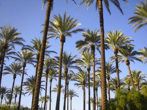 41-4540 N 44th St, Phoenix, AZ, 85018-4272 | Card Image