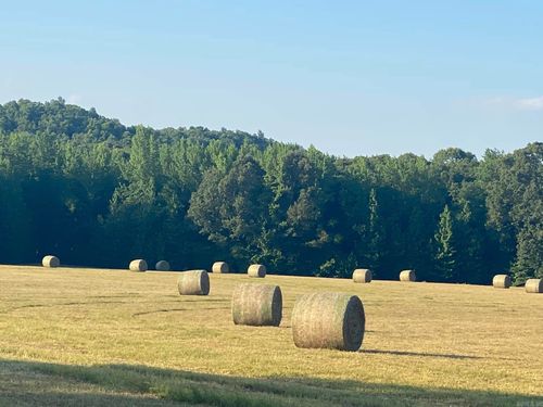 206 Manning Rd, Mount Vernon, AR, 72111-9008 | Card Image