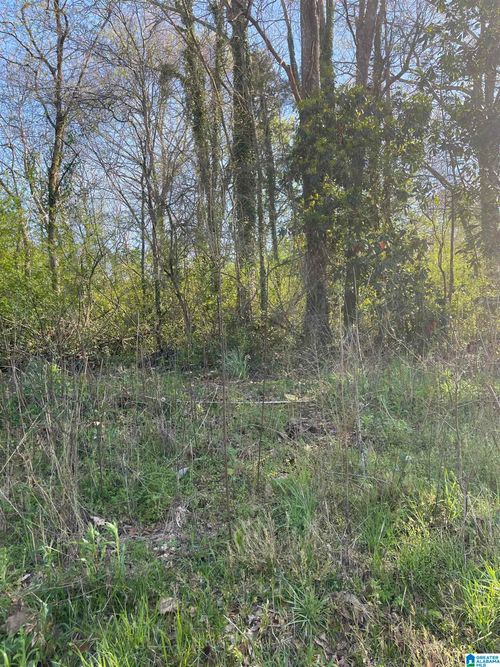 4-0 Franklin St, Roanoke, AL, 36274 | Card Image