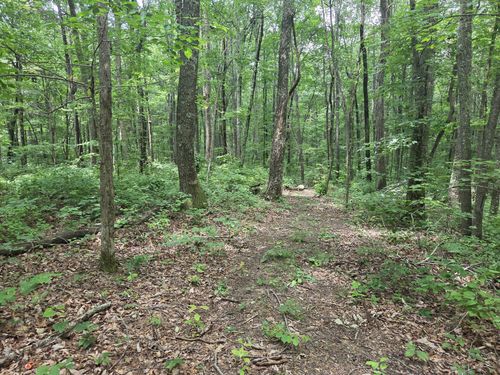 0 Blumont Dr, Altamont, TN, 37301 | Card Image