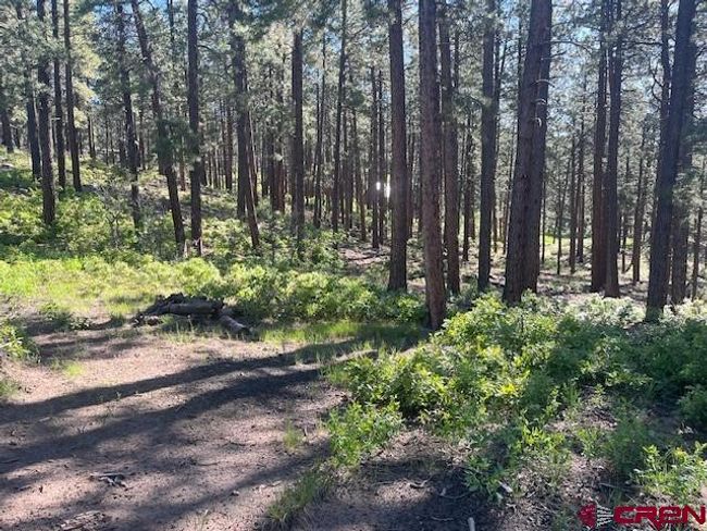 2221 Bear Creek Rd, Home with 0 bedrooms, 0 bathrooms and null parking in Bayfield CO | Image 4