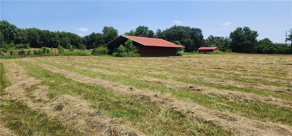 Land in Elm Springs 5