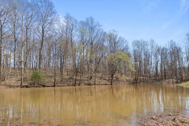 650 Wall Rd, House other with 3 bedrooms, 2 bathrooms and 2 parking in Cunningham TN | Image 28