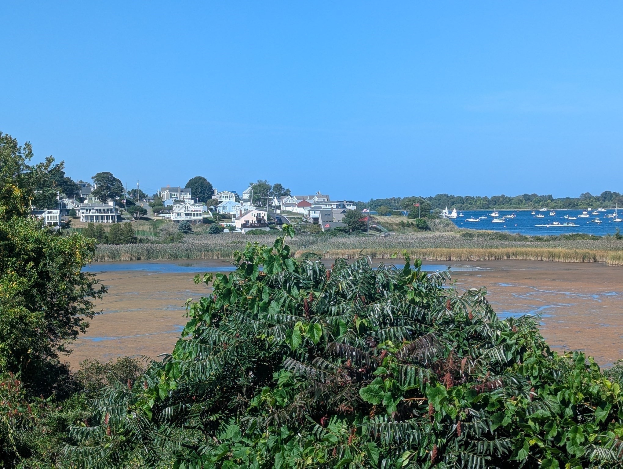 Residential Lease in Ipswich 5