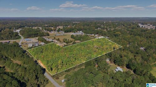 11-acres-0 Field St, Roanoke, AL, 36274 | Card Image