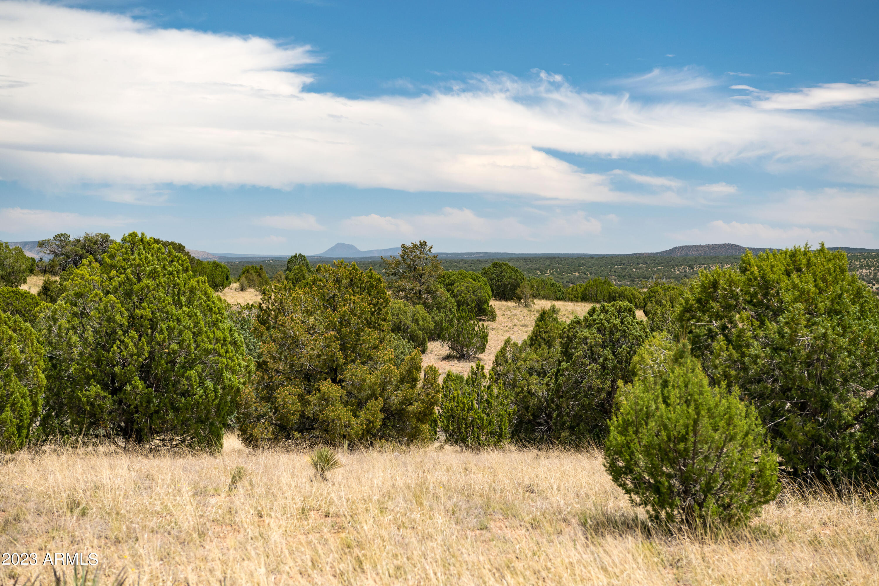 Land in Seligman 4