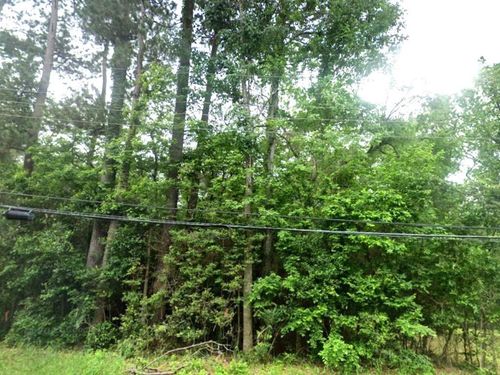 0 Hillendale Dr, Livingston, TX, 77351 | Card Image